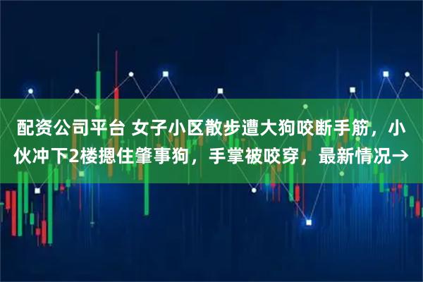 配资公司平台 女子小区散步遭大狗咬断手筋，小伙冲下2楼摁住肇事狗，手掌被咬穿，最新情况→
