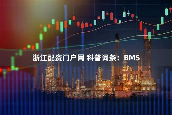 浙江配资门户网 科普词条：BMS