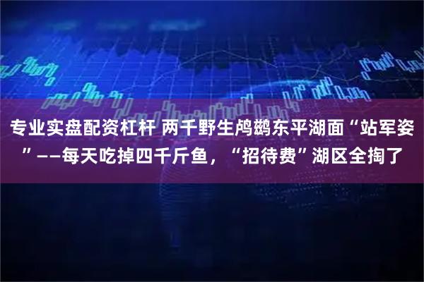 专业实盘配资杠杆 两千野生鸬鹚东平湖面“站军姿”——每天吃掉四千斤鱼，“招待费”湖区全掏了